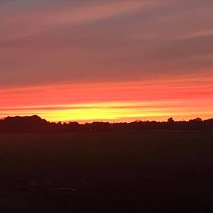 Meet your Posher, Kylie